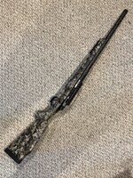 IMG_2462.jpeg