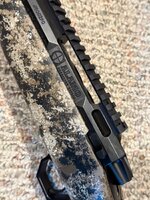 IMG_2463.jpeg