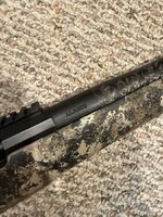 IMG_2464.jpeg