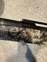 IMG_2465.jpeg