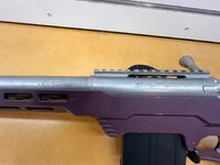 IMG_3634.jpeg