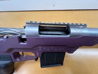 IMG_3635.jpeg