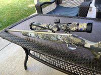 IMG_8210.jpeg