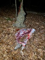 IMG_4412.jpeg