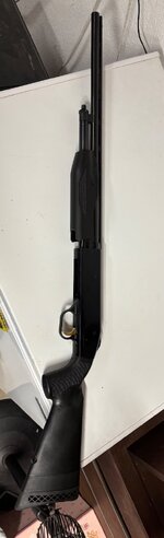 IMG_0127.jpeg