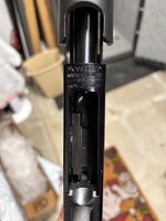 IMG_0126.jpeg