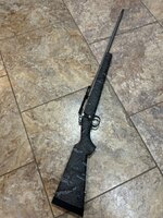 IMG_2131.jpeg