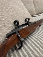 IMG_1191.jpeg