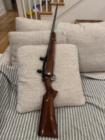 IMG_1193.jpeg