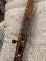IMG_1195.jpeg