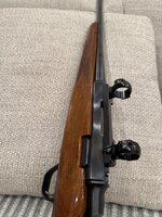 IMG_1203.jpeg