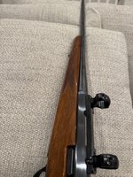 IMG_1202.jpeg