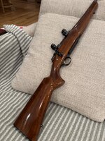 IMG_1194.jpeg