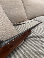 IMG_1192.jpeg