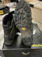 IMG_3437.jpeg
