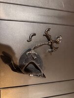 IMG_3552.jpeg