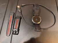 IMG_3550.jpeg