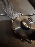 IMG_3551.jpeg