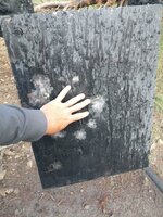 IMG_20250623_202927_094.jpg