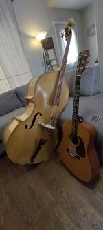 20250714_085627.jpg