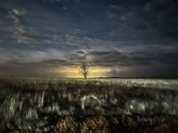 IMG_3399.jpeg