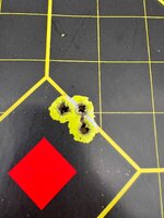 IMG_4319.jpeg