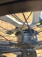 IMG_3591.jpeg