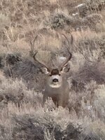 IMG_0113.jpeg