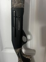 IMG_6655.jpeg