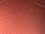 IMG_3408.jpg IMG_3408.jpg
