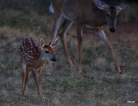 1-0H0A282823-DeNoiseAI-clear1.JPG