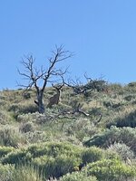 IMG_9204.jpeg