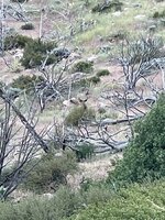 IMG_9139.jpeg