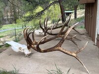 IMG_7319.jpeg