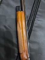 IMG_2020.jpeg