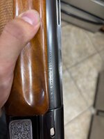 IMG_2022.jpeg