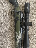 IMG_3355.jpeg