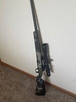 IMG_3350.jpeg