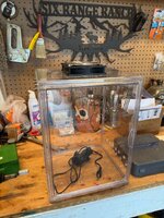 IMG_8665.jpeg