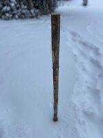 IMG_1424.jpeg