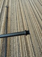 IMG_1428.jpeg