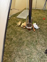 IMG_4843.jpeg