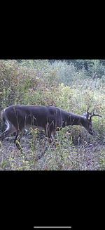 IMG_0087.PNG