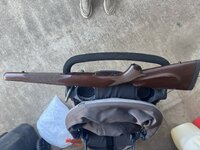IMG_2681.jpeg