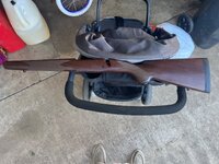 IMG_2680.jpeg IMG_2680.jpeg