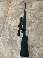 IMG_2099.jpeg