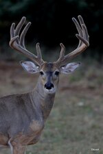 08-IMG_364022.JPG