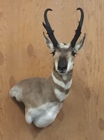 IMG_1926.jpeg