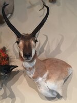 IMG_1177.jpeg