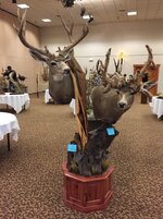 IMG_1034.jpeg